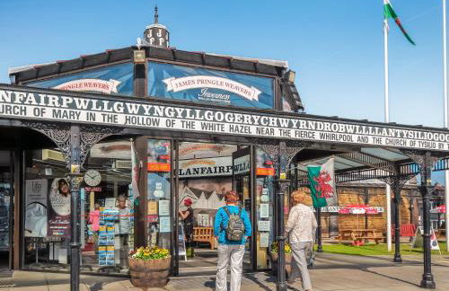 Gelli Gron Open Pastures - Photo 26