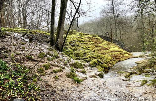 Le repos du voyageur - Foto 27