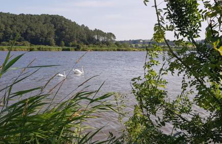 BELLE VISNONIA meublé de caractère Sud Morbihan - Foto 35