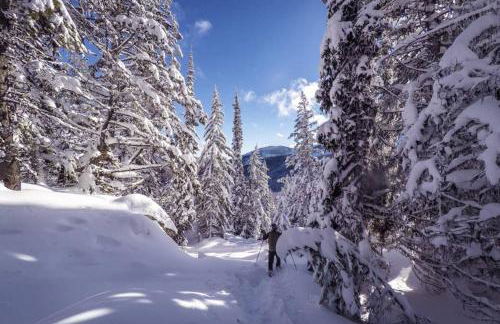 Studio on the Fairway Chewelah Golf Course - Foto 26