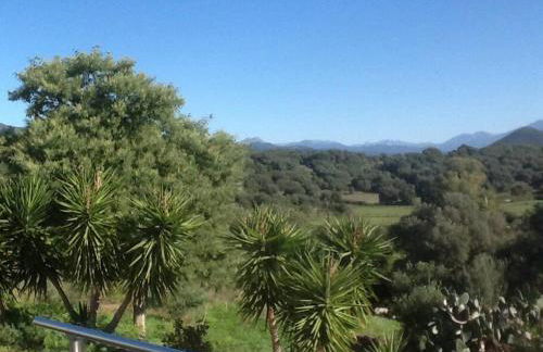 LE PALADIN Porto Pollo Villa privée avec piscine chauffée - Foto 26