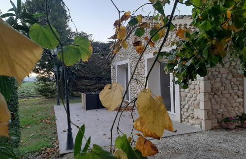 l esquisse - Foto 31