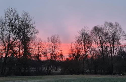 Monteurwohnung - Foto 15