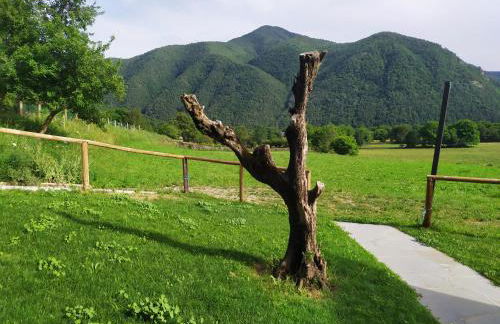 Apartamentos Viña Olivan - Photo 40