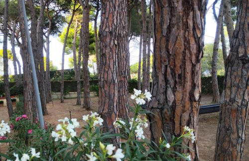 Apartamento con AMPLIA TERRAZA Y VISTAS AL MAR a 150 metros de la playa - Foto 17