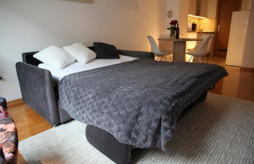 Vana apartment Zagreb - Photo 44