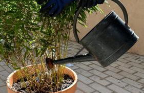 La Casita Nazaré - private pool - Foto 41