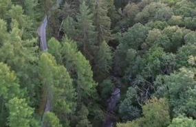 Cuckoo Cabin, Tyn Y Cwm - Photo 22