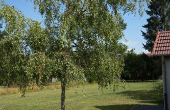 TREE LODGY - Linae - Foto 10