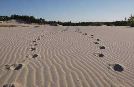 Dworek Słoneczko - Foto 30