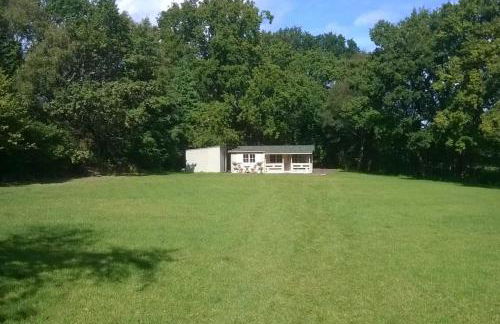 Family friendly sunny Log Cabin - Photo 8