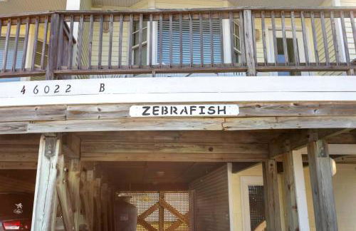 CAC-23B - Zebrafish - Foto 7