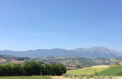 Agriturismo Cignale della Società Agricola Cignale srl - Photo 50