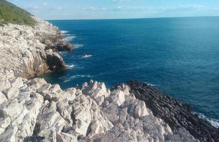 Cottage Melita the Apartment for Animal Lovers - Foto 34