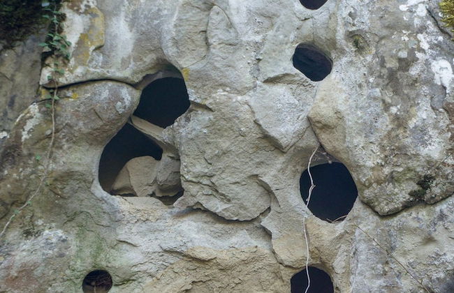 Agriturismo Arcera - Foto 38