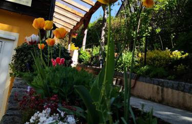 Haus Rebberg - Photo 23