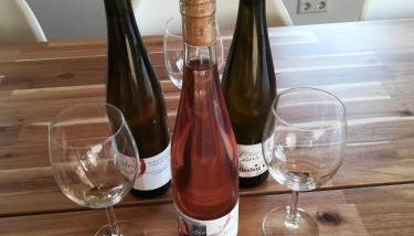 Präsenzhof Lay - Foto 5