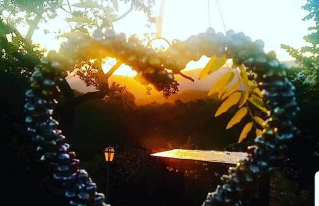 Summer Sale! Lovely 3-bed Apartment in Spoleto - Foto 28