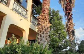 Calma Luxury Apartments #1 Sozopoli in Halkidiki - Foto 57