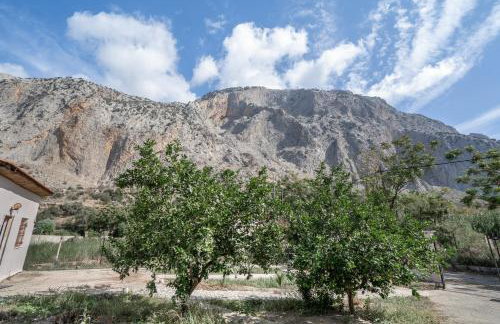 Emis house krioneri - Photo 25