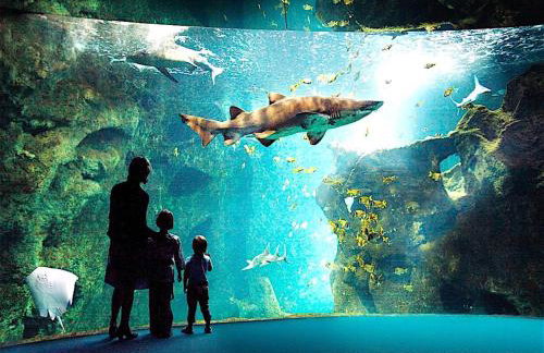 Appartement La Rochelle - Foto 49