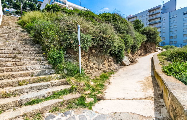 Meda Chica - Photo 27