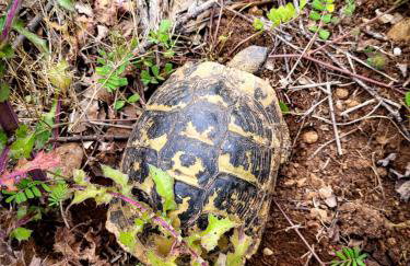 Mala Kuća - Photo 24