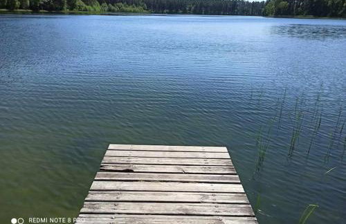 Sielska Oaza - siedlisko wiejskie z domem całorocznym - Foto 46