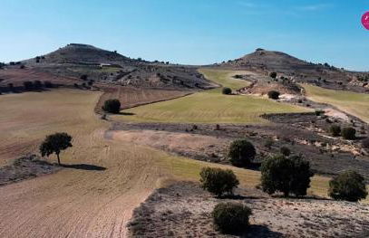 La Marcela - Foto 19