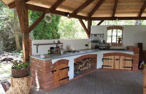 Dziki brzeg Jezioraka - Foto 19