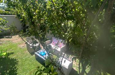 Évasion Ventoux, villa spacieuse et accessible PMR - Foto 30