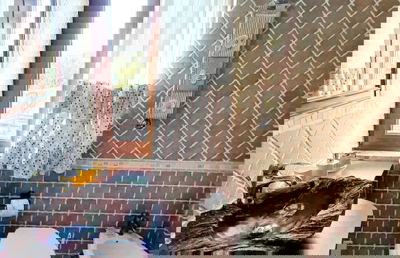 Agriturismo il Pioppeto - Foto 33