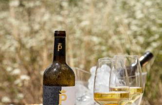 Quinta do Paral - Foto 62