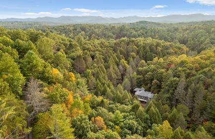 Driftwood Rapids Villa - Foto 63