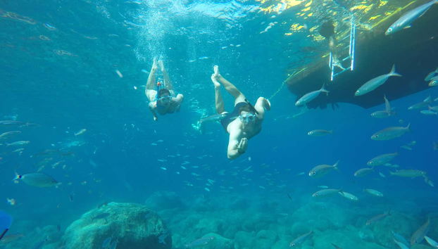 Snorkel in incredible waters