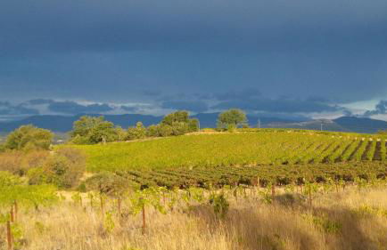 Gîte de vacances en Camargue ☆☆NN - Photo 26