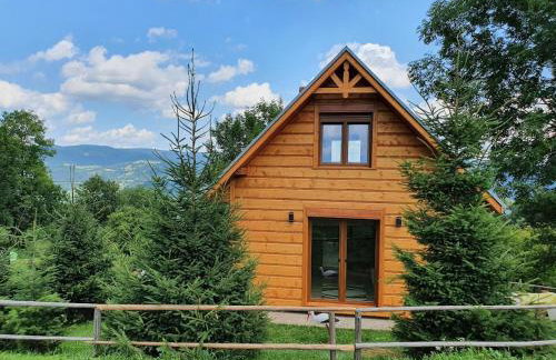 Domek Góralski Piwowarówka - Foto 46