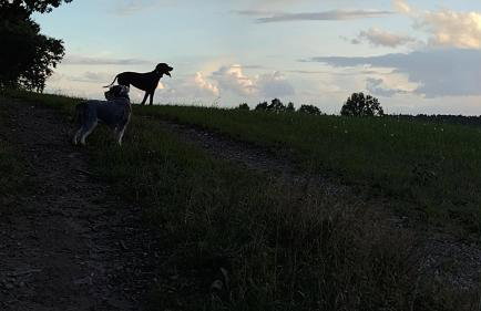 Domek Letniskowy ZŁOTY KARAŚ - Foto 38
