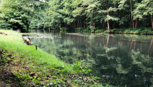 Ferienwohnung Verena Wunderlich - Foto 3
