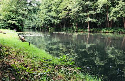 Ferienwohnung Verena Wunderlich - Foto 3