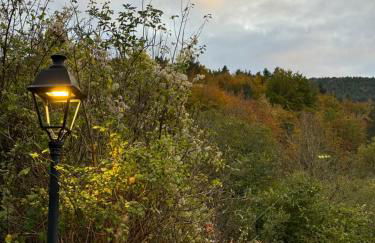 La central de Azparren, junto a la Selva de Irati - Foto 8