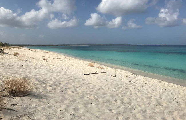 Excursion à Bahía de las Águilas - Photo 8