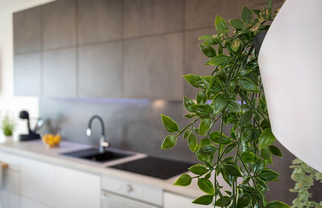 Apartments Moon - Foto 12