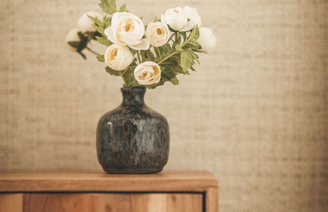 Vale Pisco - Photo 19