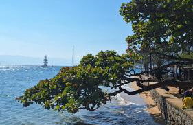 Gizele Sander Arte & Hospedagem - Foto 48