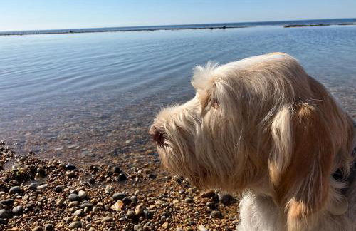 Mollys Cottage - Foto 25