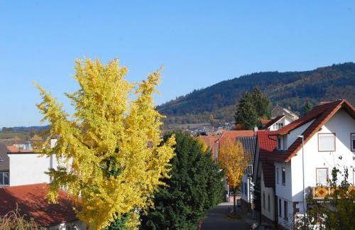 Luxus Loft ideal Europa Park, Straßburg und Schwarzwald - Foto 42