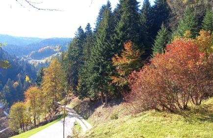 Domek w Jałowcach - Foto 18