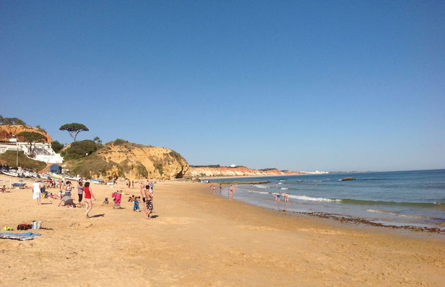 Aqua Plaza CIP - Photo 21