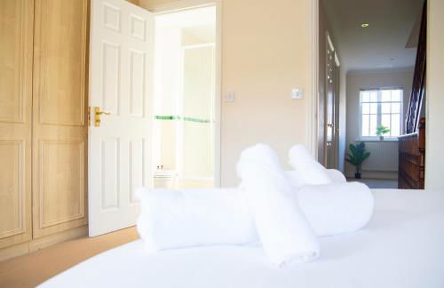 4x Bed Elegant Home with Parking - Photo 20